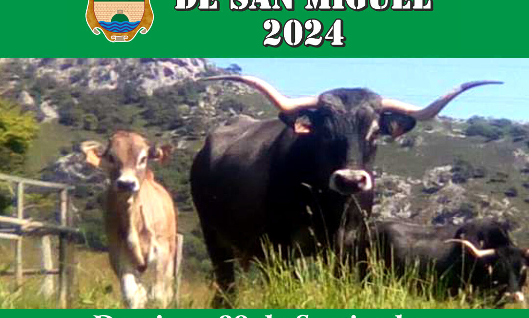 feria y fiestas de san miguel 2024