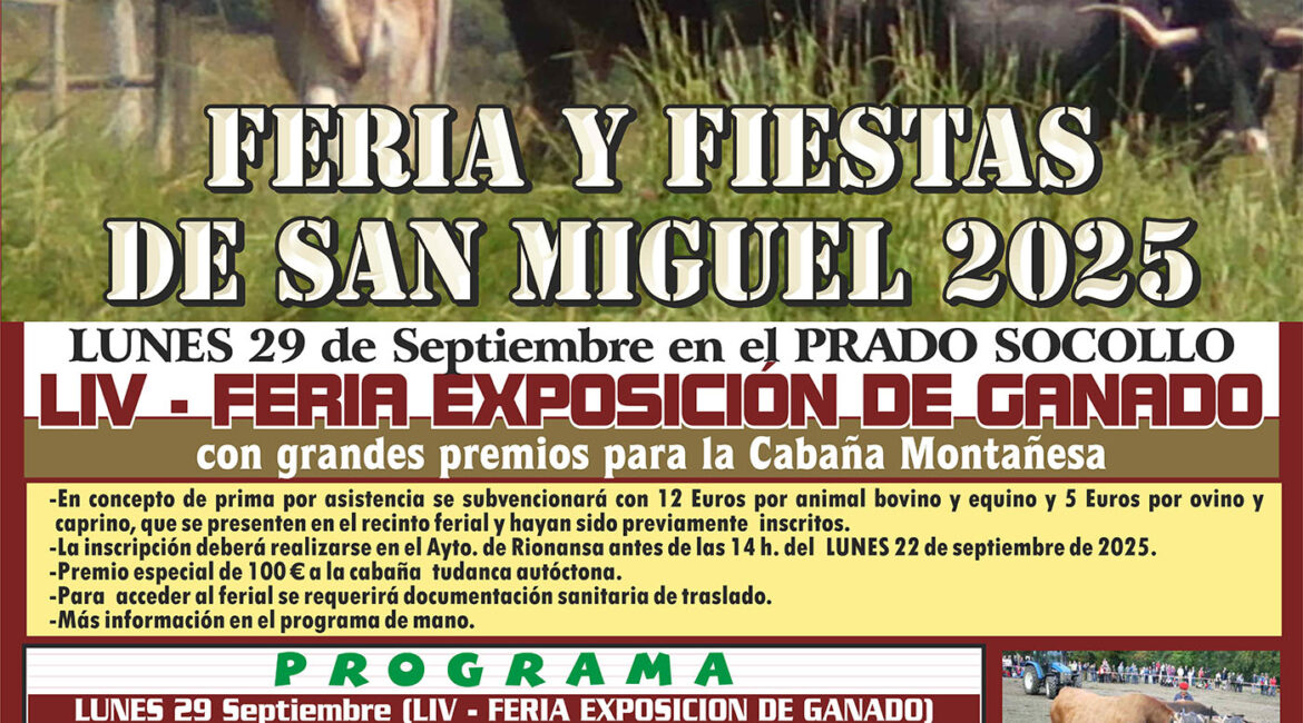 Feria San Miguel