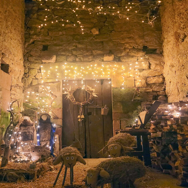 Ganadores del Concurso de Decoración e Iluminación Navideña 2025